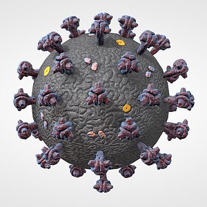 3D model virus