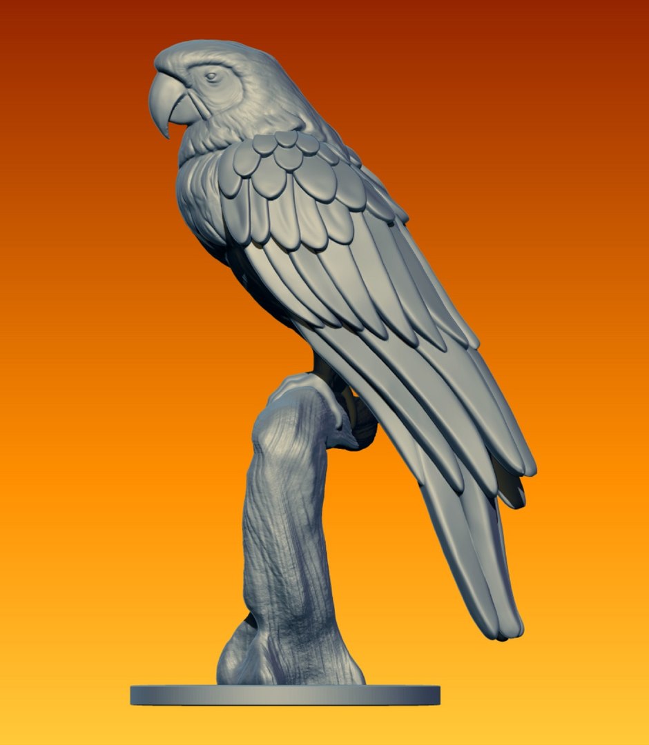 3D model Ara parrot https://p.turbosquid.com/ts-thumb/IF/ftPBSc/0x/3/jpg/1743196373/1920x1080/fit_q87/653573a7d5392a39a665878e0241b93b84ad42e1/3.jpg