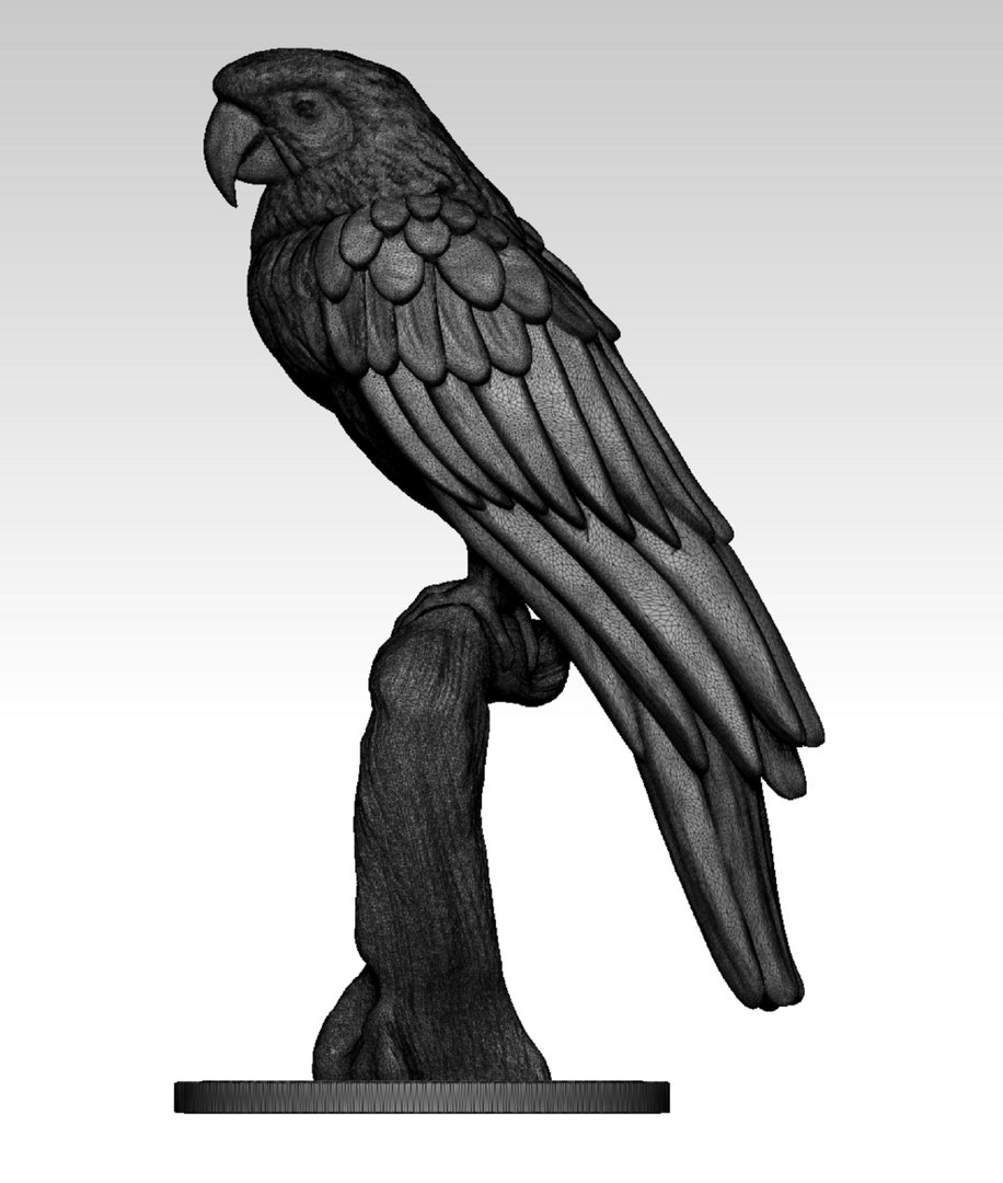 3D model Ara parrot https://p.turbosquid.com/ts-thumb/IF/ftPBSc/3r/8/jpg/1743196553/1920x1080/fit_q87/cfed514fcb2421e387cccacb280d4089fdfeb4eb/8.jpg