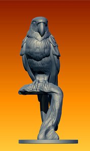 3D model Ara parrot