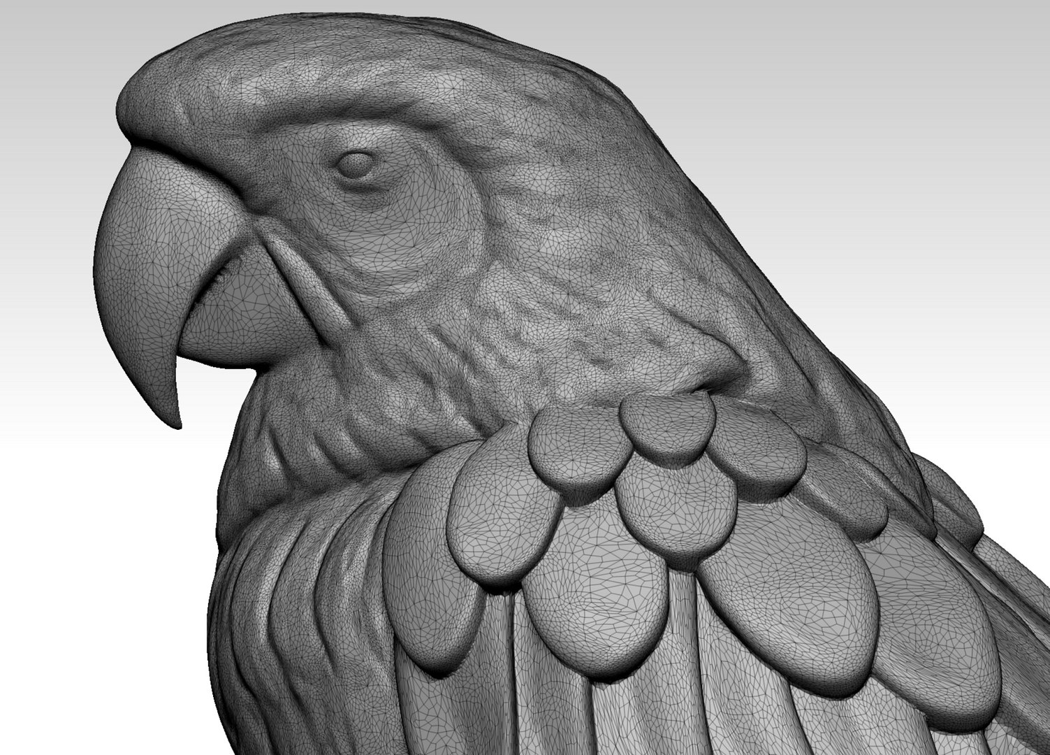 3D model Ara parrot https://p.turbosquid.com/ts-thumb/IF/ftPBSc/Ub/9/jpg/1743196610/1920x1080/fit_q87/46109bae5e8f3c3eb9e058b8d0f14e9479f817ff/9.jpg