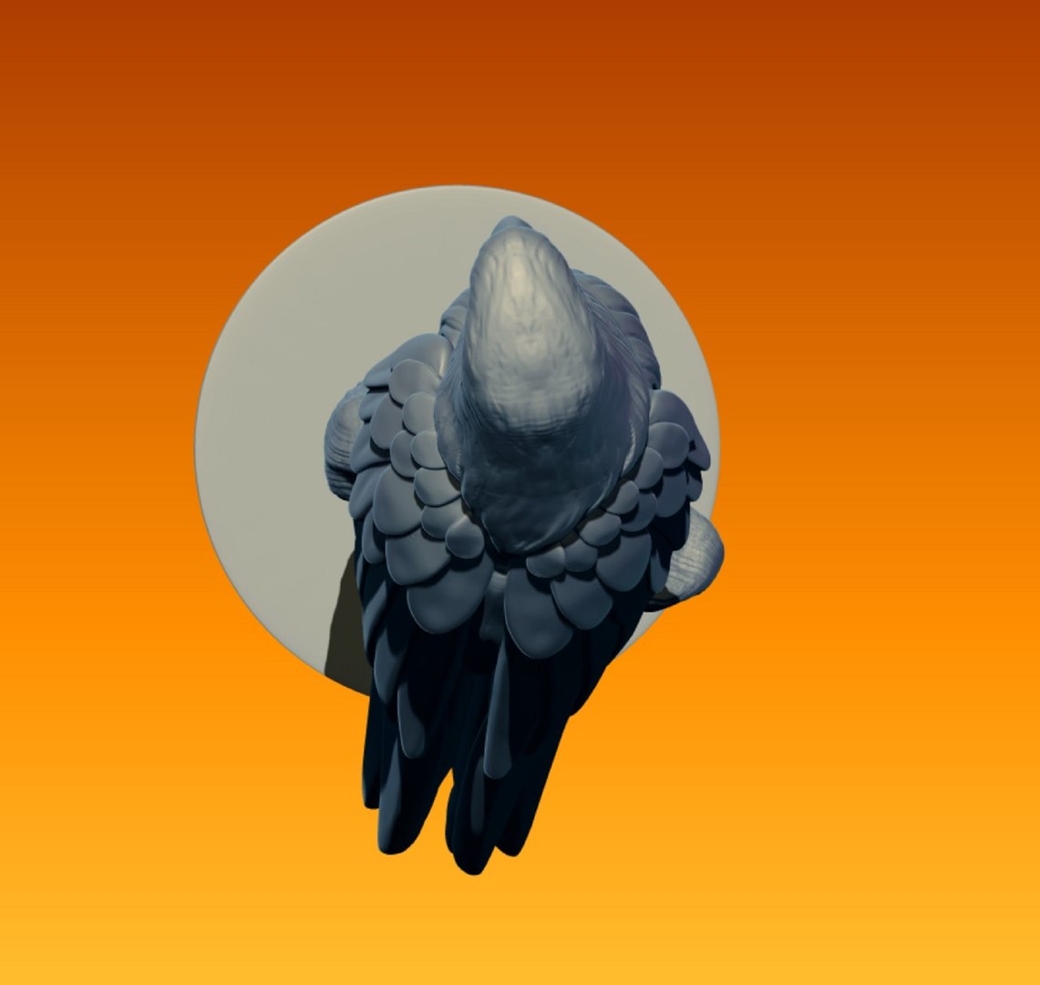 3D model Ara parrot https://p.turbosquid.com/ts-thumb/IF/ftPBSc/jX/5/jpg/1743196373/1920x1080/fit_q87/f797b36b2724da485e45699857d682ab3497d23d/5.jpg
