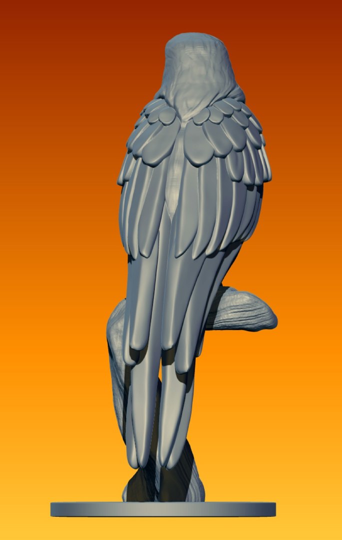 3D model Ara parrot https://p.turbosquid.com/ts-thumb/IF/ftPBSc/zD/4/jpg/1743196373/1920x1080/fit_q87/49a3754243c225e6295646d693f10eefb1fc9acb/4.jpg