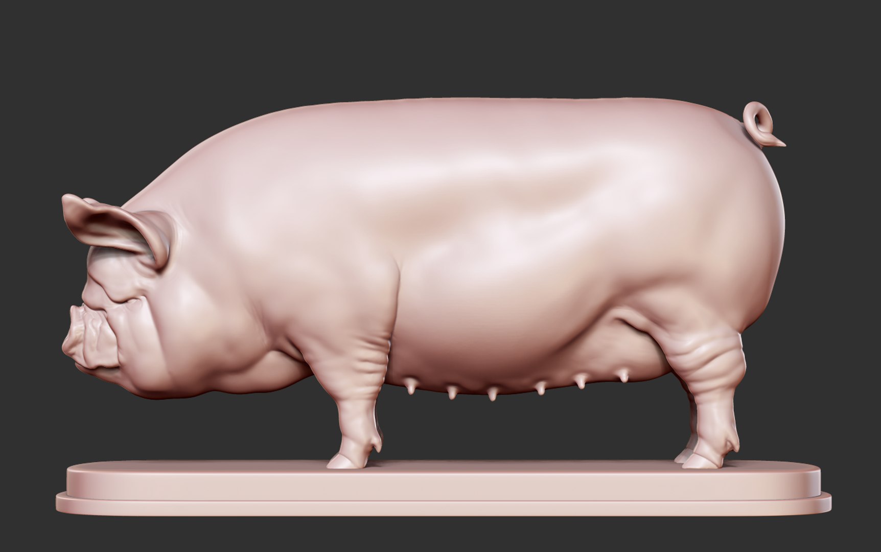 3D model Middle White Pig https://p.turbosquid.com/ts-thumb/IF/hxnul9/5x/14/png/1628402839/1920x1080/fit_q87/d857495186d4735da442b18ef52f87a0695e805d/14.jpg