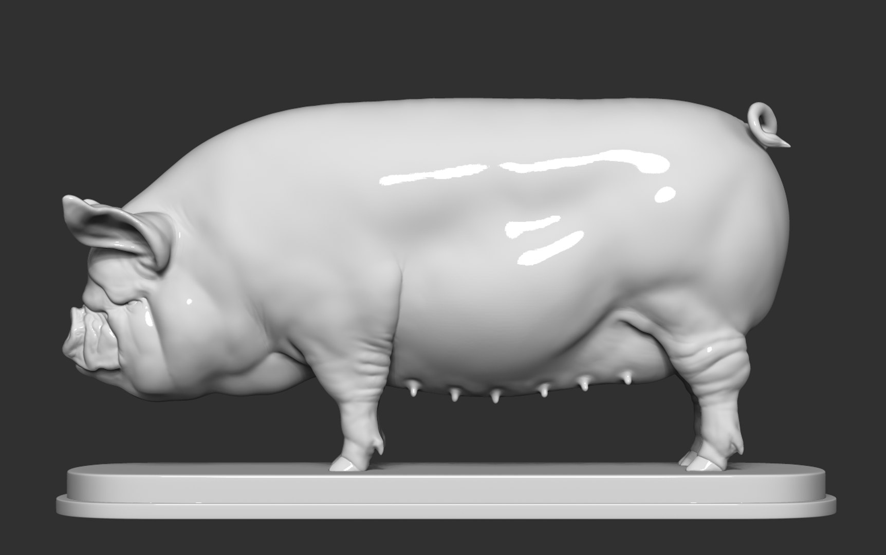 3D model Middle White Pig https://p.turbosquid.com/ts-thumb/IF/hxnul9/Lo/12/png/1628402836/1920x1080/fit_q87/0667abbc1c863f55e2aba8b77e4faf72086708e0/12.jpg