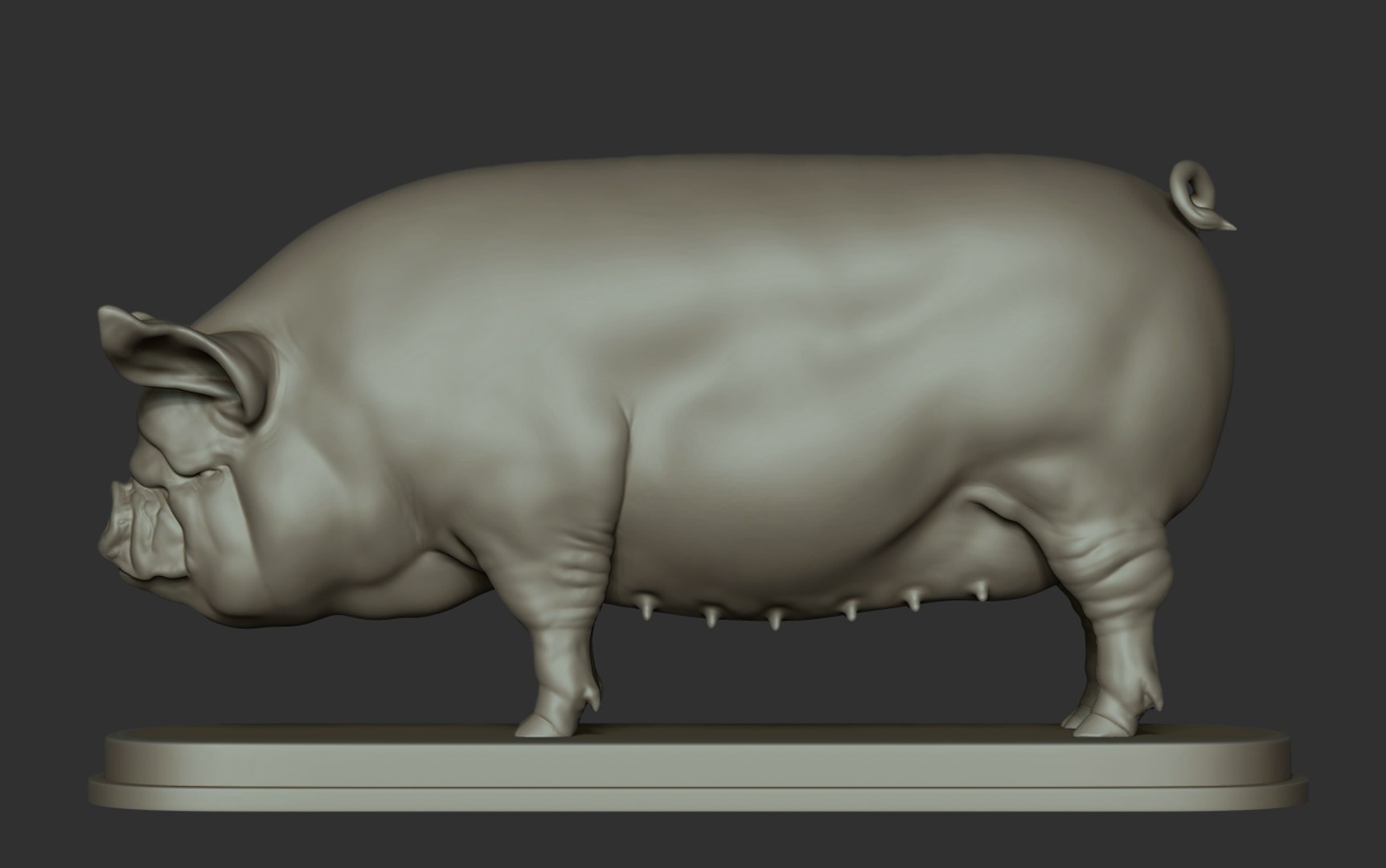 3D model Middle White Pig https://p.turbosquid.com/ts-thumb/IF/hxnul9/QF/17/png/1628402837/1920x1080/fit_q87/57ba8d9e943929623de48a0f9829a8e0c87c7cd4/17.jpg