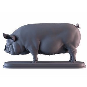 3D model Middle White Pig