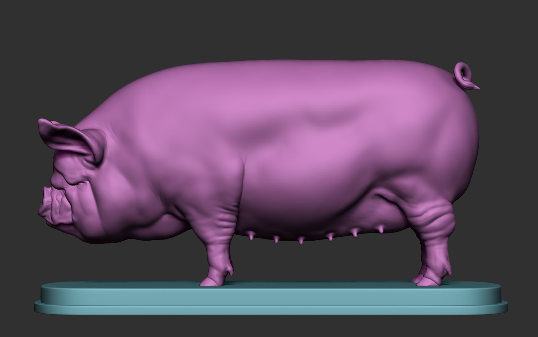 3D model Middle White Pig https://p.turbosquid.com/ts-thumb/IF/hxnul9/hp/18/png/1628402843/1920x1080/fit_q87/b43256ca325e9bd8db31148496f6a5d4ac3012ef/18.jpg
