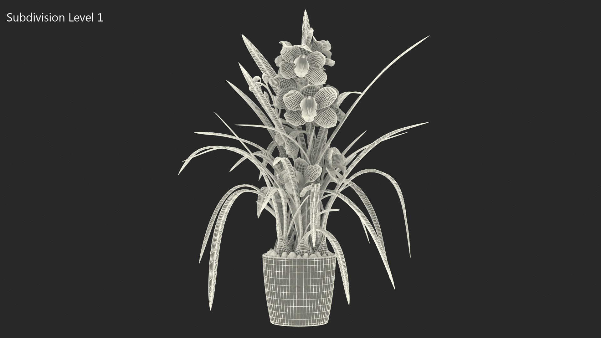3D Orchid Pot Flower Pink Fur https://p.turbosquid.com/ts-thumb/IF/mhkCYd/DL/orchidpotflowerpinkfurmb3dmodel022/jpg/1640607140/1920x1080/fit_q87/e74e6480aaecc9a9de3c1f5ee962d610448b54cc/orchidpotflowerpinkfurmb3dmodel022.jpg