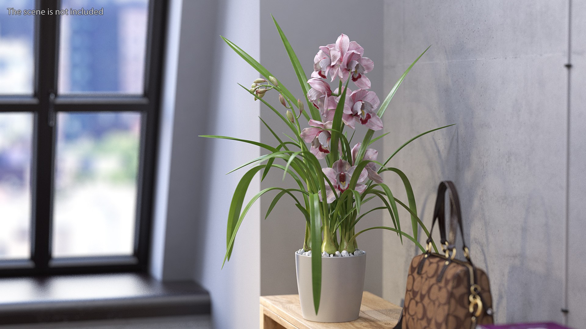 3D Orchid Pot Flower Pink Fur https://p.turbosquid.com/ts-thumb/IF/mhkCYd/RQ/orchidpotflowerpinkfurmb3dmodel003/jpg/1640607082/1920x1080/fit_q87/df586378009d8a3b5aaecf64f93b8474edd65dd0/orchidpotflowerpinkfurmb3dmodel003.jpg