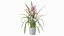 3D Orchid Pot Flower Pink Fur