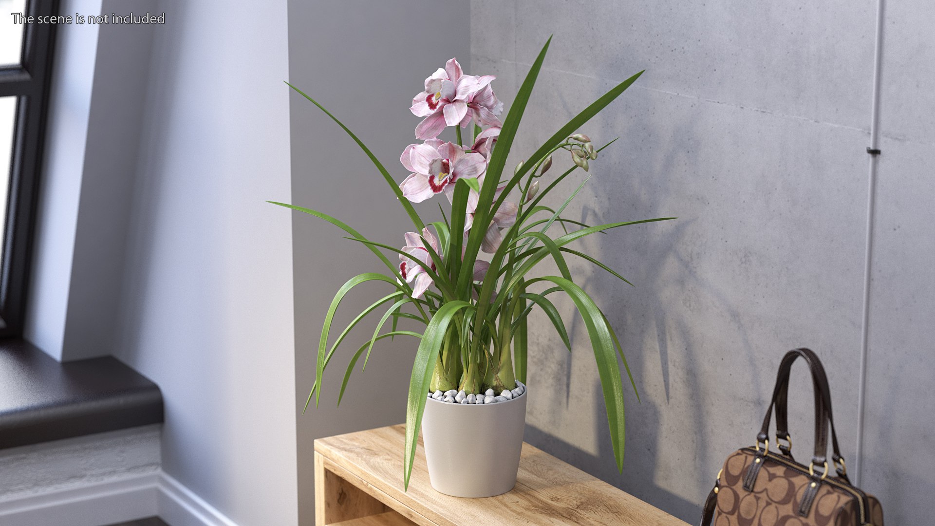 3D Orchid Pot Flower Pink Fur https://p.turbosquid.com/ts-thumb/IF/mhkCYd/um/orchidpotflowerpinkfurmb3dmodel002/jpg/1640607079/1920x1080/fit_q87/1a9570892970805a8ba6c1728fee6d573ee88abe/orchidpotflowerpinkfurmb3dmodel002.jpg