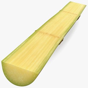 Green Sugarcane Half Cut Piece 3D