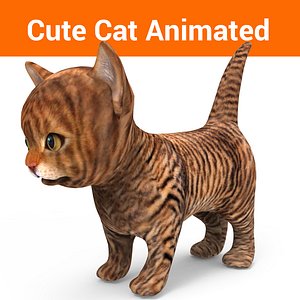 kitten cat animated
