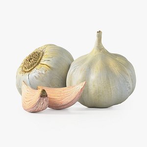 Realistic Garlic