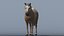 Lowpoly Brown Horse animato per giochi VR AR