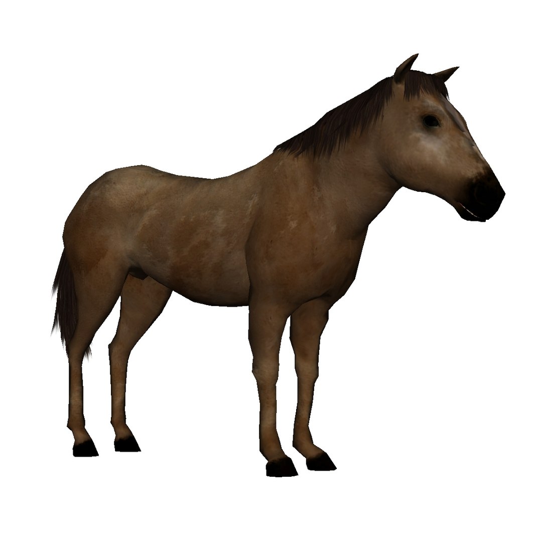 3D model Lowpoly Brown Horse  Animated for VR AR Games https://p.turbosquid.com/ts-thumb/IG/HNpKhx/81/ava/jpg/1681661765/1920x1080/fit_q87/926b386023eb3d7d08c943a93342109e7ce52400/ava.jpg