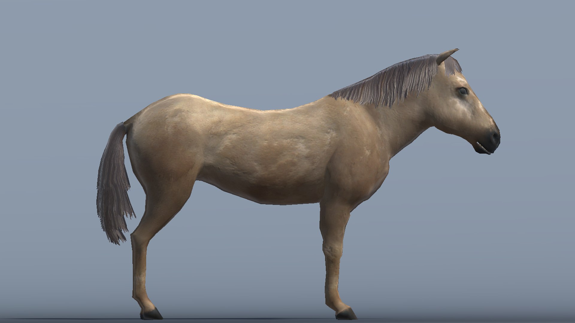 3D model Lowpoly Brown Horse  Animated for VR AR Games https://p.turbosquid.com/ts-thumb/IG/HNpKhx/Ab/3/jpg/1681661379/1920x1080/fit_q87/bf904925b8f7cfbbec487cacc4a8b5b5fd441602/3.jpg
