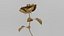 3D rose blossom animation model