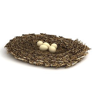 3D model bird nest eggs