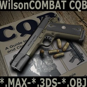3d hi wilson model