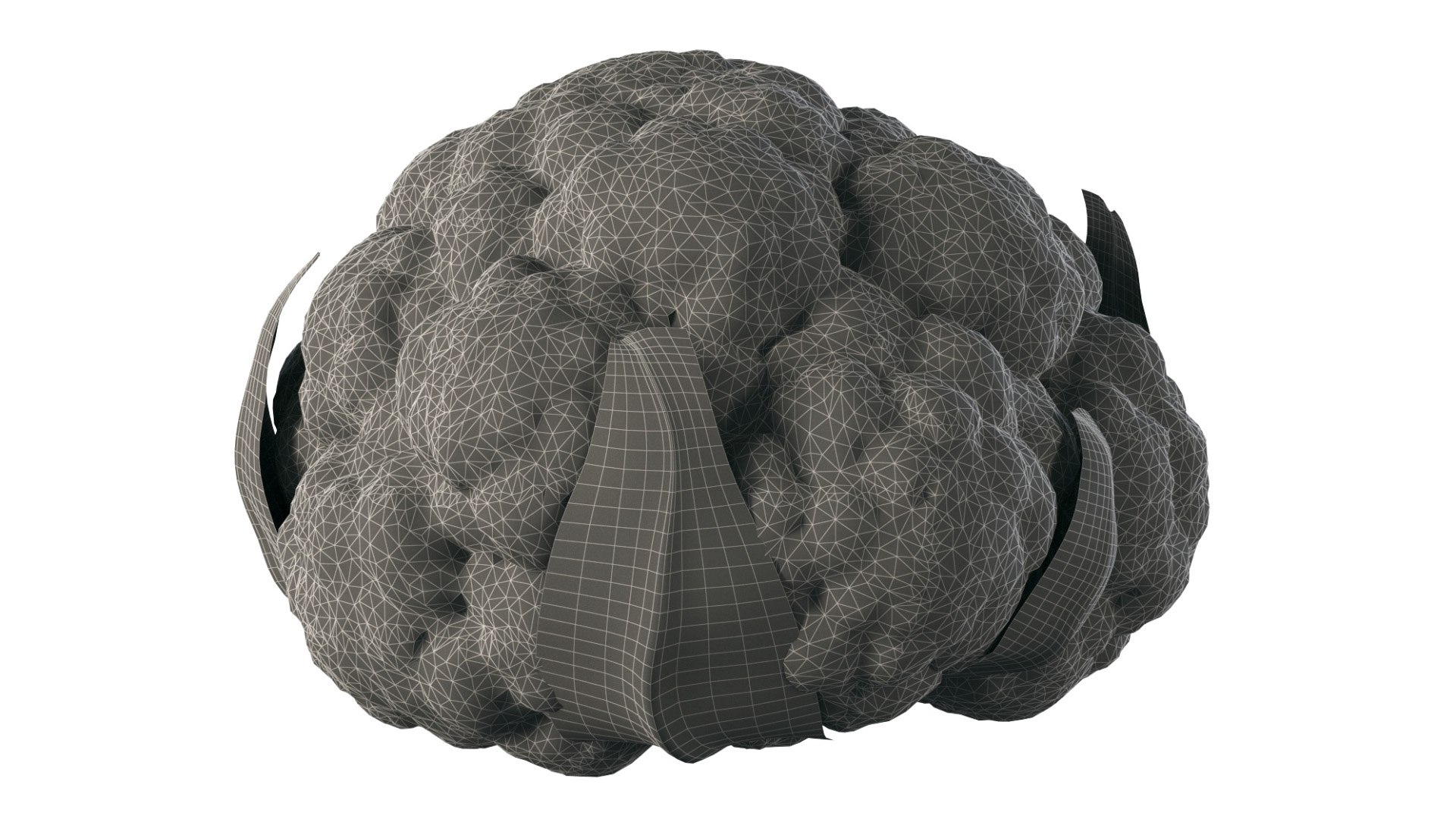 4k Cauliflower Model - TurboSquid 1992916