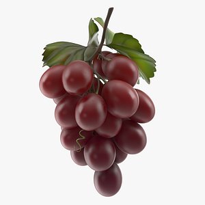 3D bunch fresh red grapes model