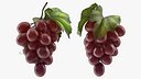 Bunch of Fresh Red Grapes
