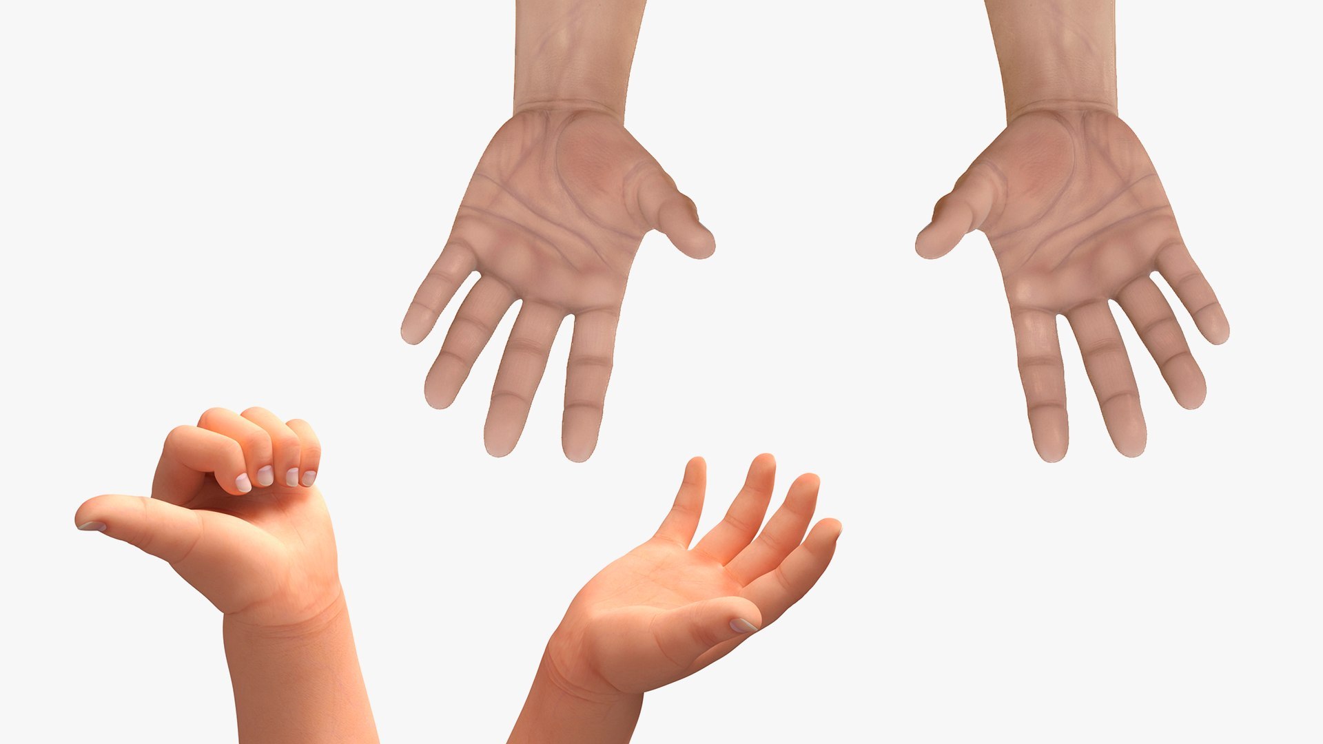 3D Man and Baby Hands Rigged for Maya Collection model https://p.turbosquid.com/ts-thumb/IG/e8bC6A/8v/rigged_man_and_baby_hands_collection_for_maya_002/jpg/1767977835/1920x1080/fit_q87/1ecbcfcce1bd08fa86fed7c8decc143c215cbfac/rigged_man_and_baby_hands_collection_for_maya_002.jpg