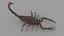 3D SCORPION 3D MODEL REALTIME