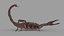 3D SCORPION 3D MODEL REALTIME