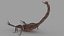 3D SCORPION 3D MODEL REALTIME