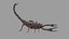 3D SCORPION 3D MODEL REALTIME