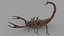 3D SCORPION 3D MODEL REALTIME