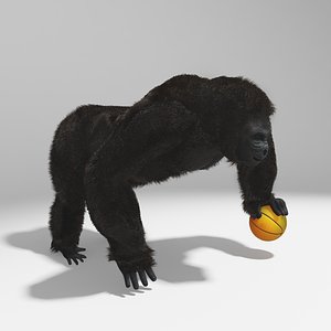 gorilla 3D model