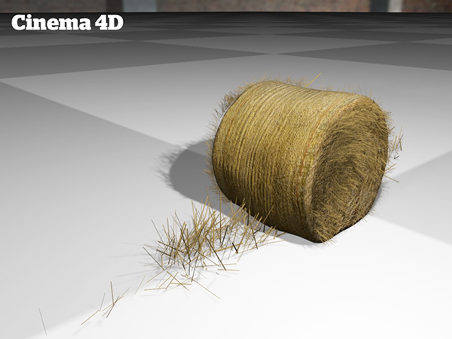 Maya Hay Bale