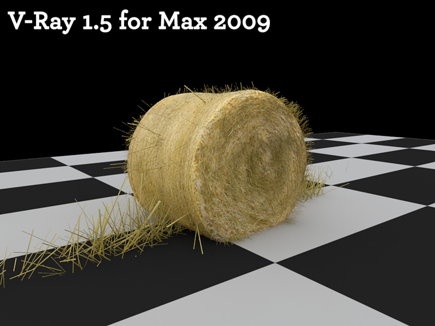 Maya Hay Bale