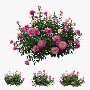 plant rose set 04 3D model