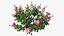 Plant rose set 04