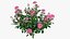 Plant rose set 04