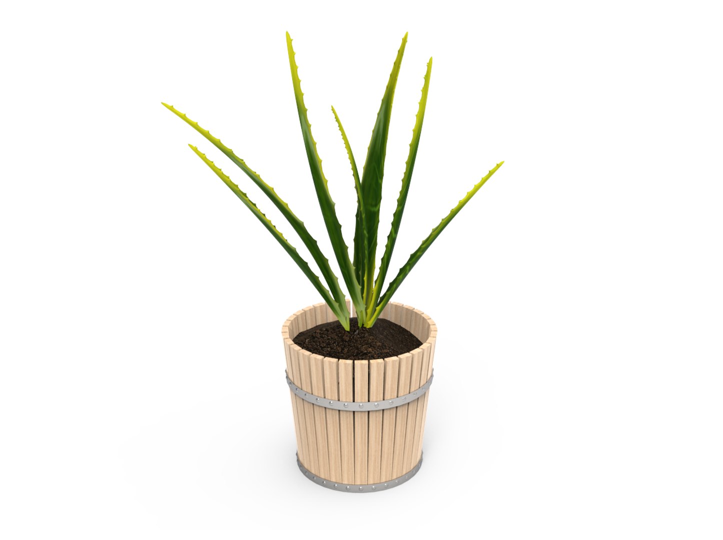 houseplants plants 3D model https://p.turbosquid.com/ts-thumb/IH/hdJTF1/7ZbYLKvC/01/png/1576416197/1920x1080/fit_q87/ca40e2144f6212ff7b53b1b669a1b63aab512637/01.jpg