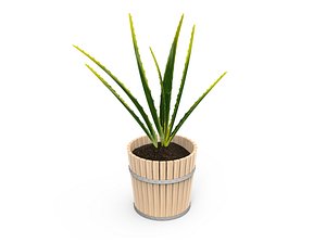 houseplants plants 3D model