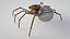 SteamPunk Spider