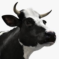Holstein Cow (with Fur)