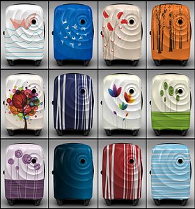 max trolley suitcase bag