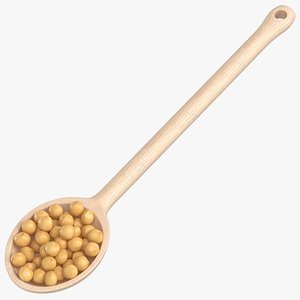 3D wooden spoon soy grains model