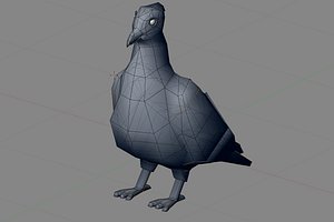 pigeon