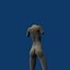 Female body