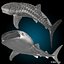 3d model whale shark