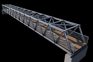 Pedestrian Bridge